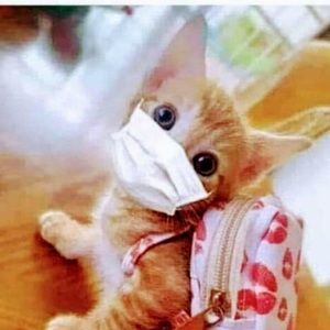 Meet your Posher, Jossie